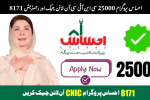 8171 Ehsaas Program 25000 CNIC Check Online & Registration