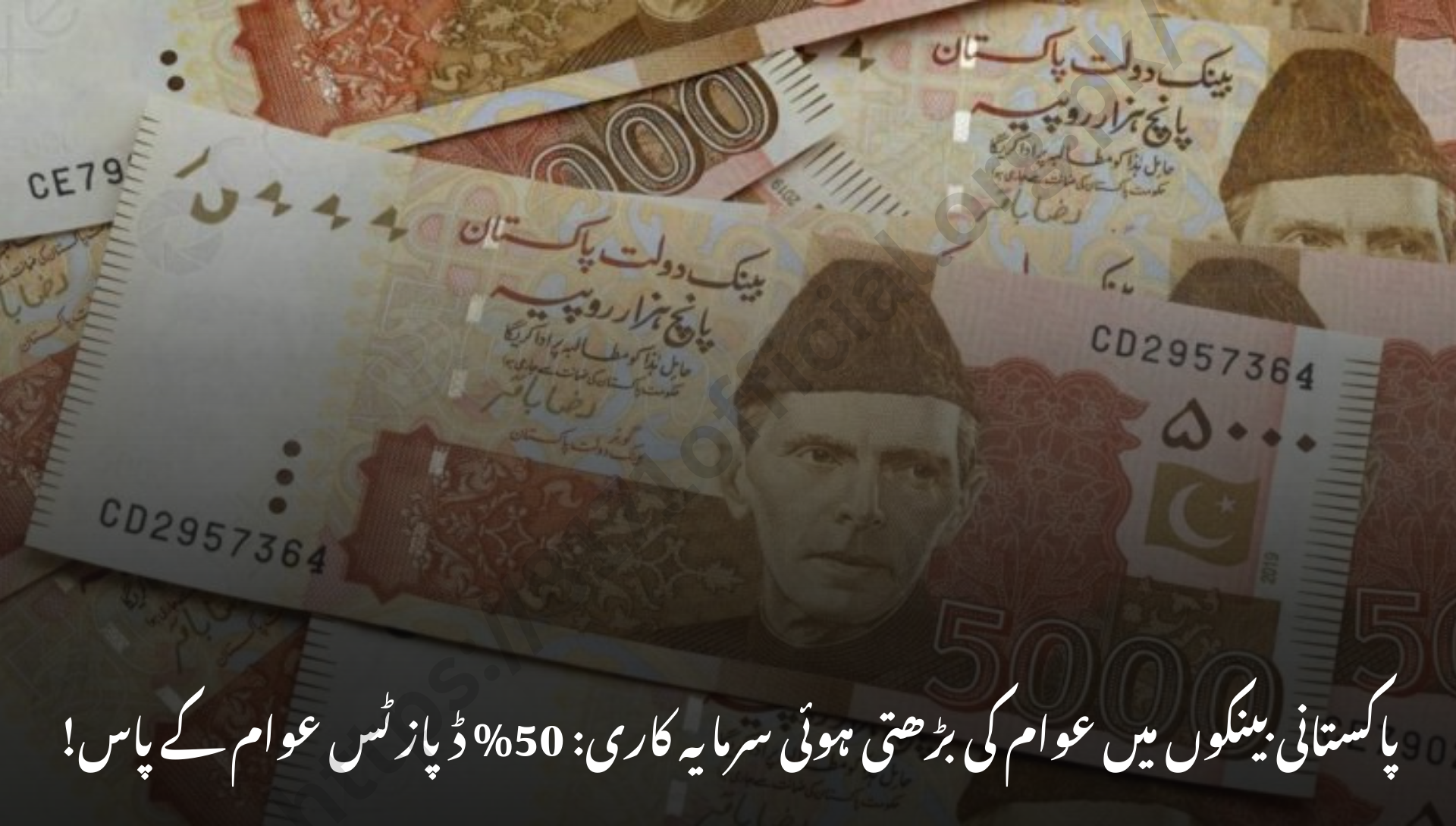 Ordinary Pakistanis Now Hold Nearly Half of Pakistan’s Bank Deposits