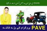 PAVE Electric Vehicle Subsidy 2025