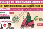 Sindh Free EV Scooty Scheme