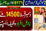 BISP 8171 CNIC Verification Error Resolved 2025