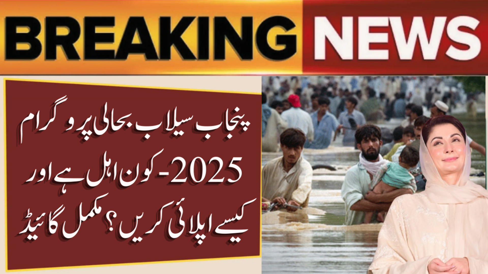 Punjab Sailab Rehabilitation Program 2025
