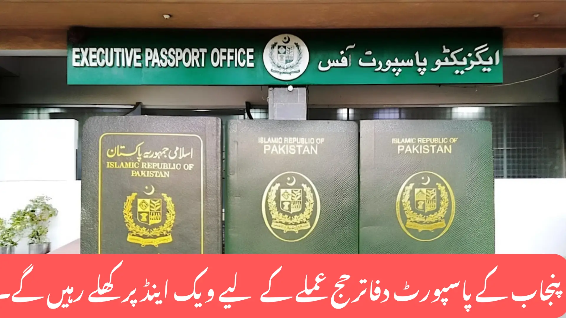 Punjab Passport Offices to Remain Open Over the Weekend for Hajj Staff